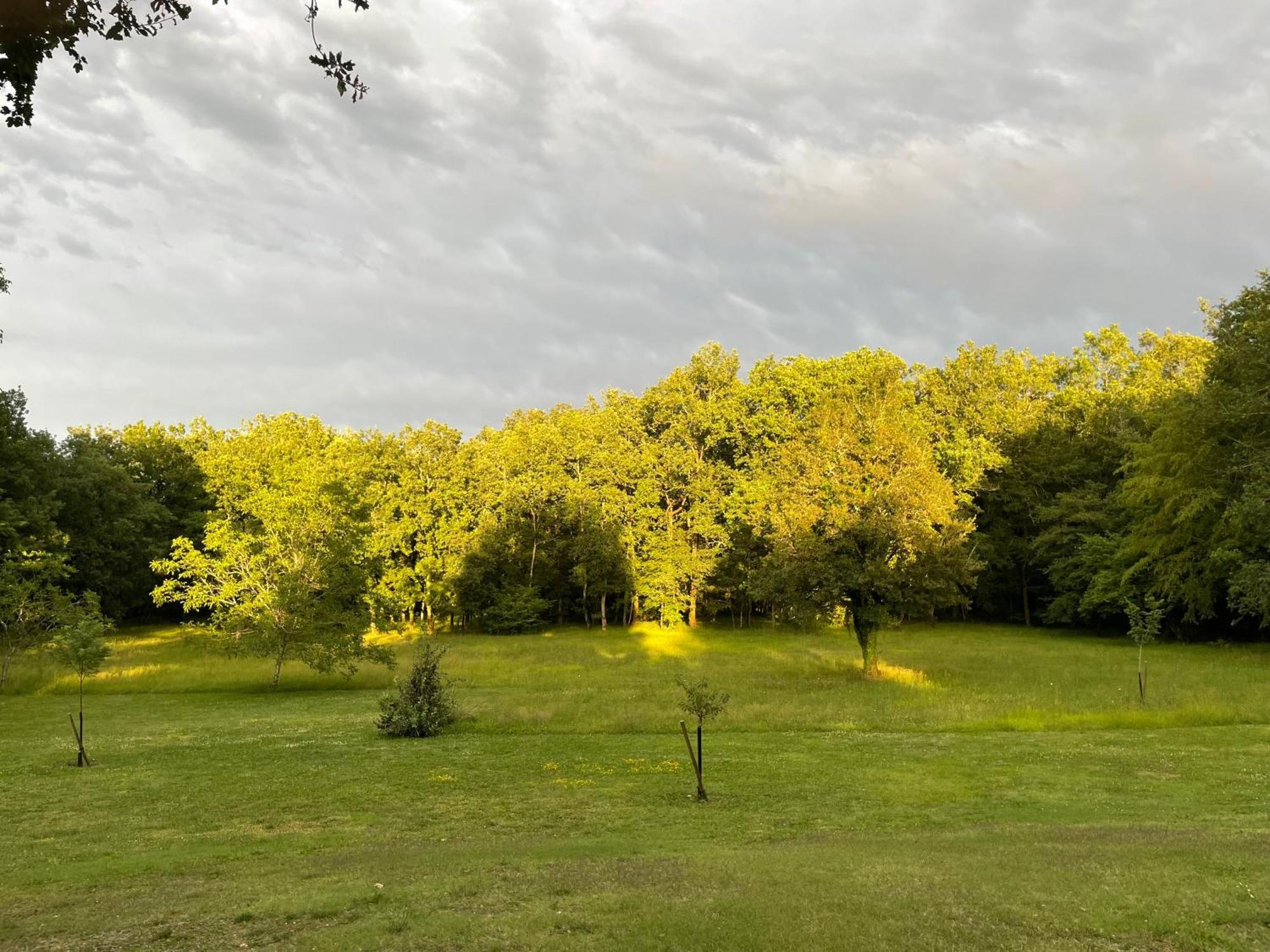 Chapdeuil La Croix Des Granges Bed & Breakfast エクステリア 写真